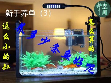 魚缸魚隻數量|計算魚缸魚量神器